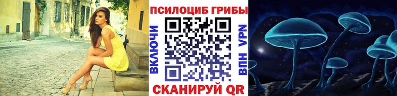 Галлюциногенные грибы мухоморы нарко площадка официальный сайт Люберцы